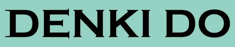 株式会社電器堂